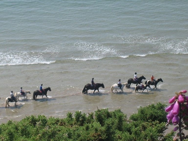  Nuestros caballos en la playa 